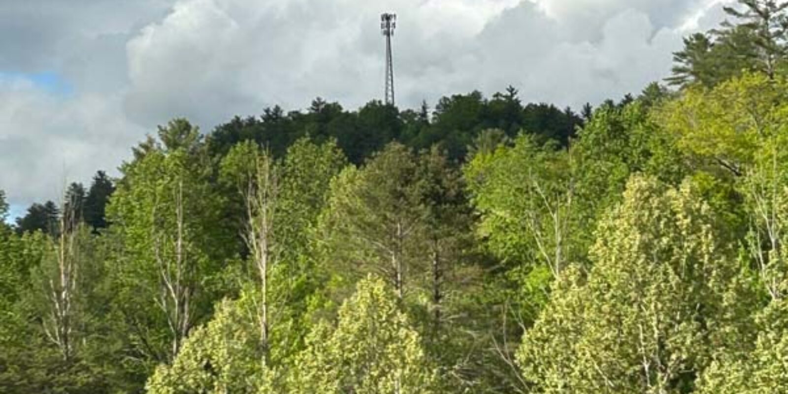 The Park sits just under a cell tower the give full bar reception for the major mobile providers/